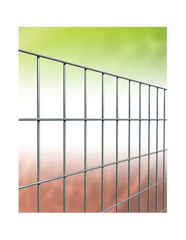 L-GRUPPO BIL./R.A.ASS.Y (L 10)