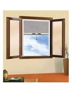 F-FLANGIA/FLANGE (F  1)