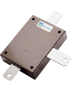 F-CAPPUCCIO/CAP (F 33)