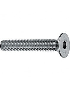 C-CAPPELLOTTO/CAP (C101)