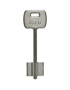 F-BULLONE/BOLT (F  6)