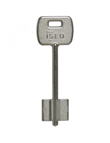 F-BULLONE/BOLT (F  6)