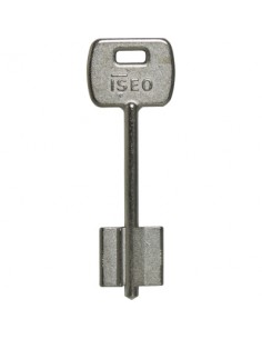 F-BULLONE/BOLT (F  6)