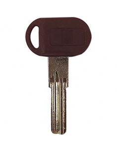 D-BULLONE/BOLT (D 95)