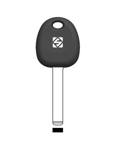 G-BULLONE/BOLT (G  2)